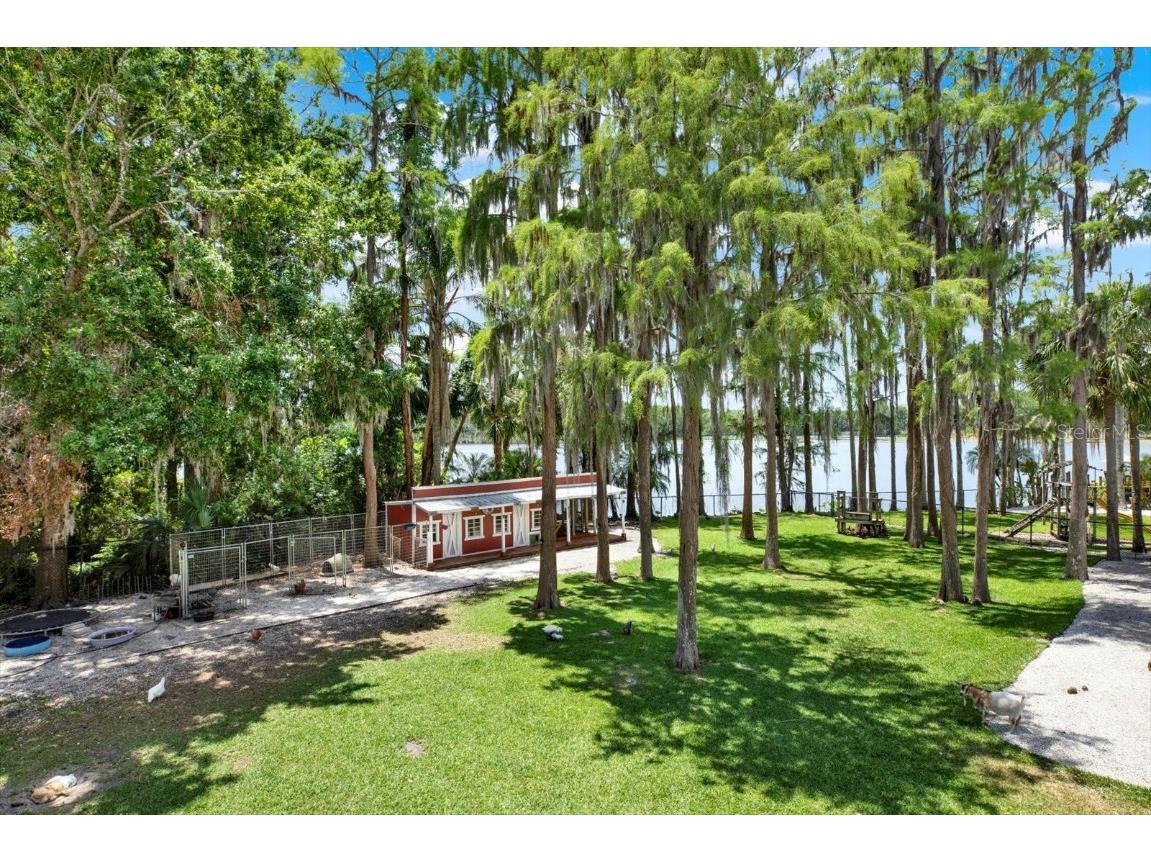 4541 School Road Land O Lakes FL 34638 W7875237 image47