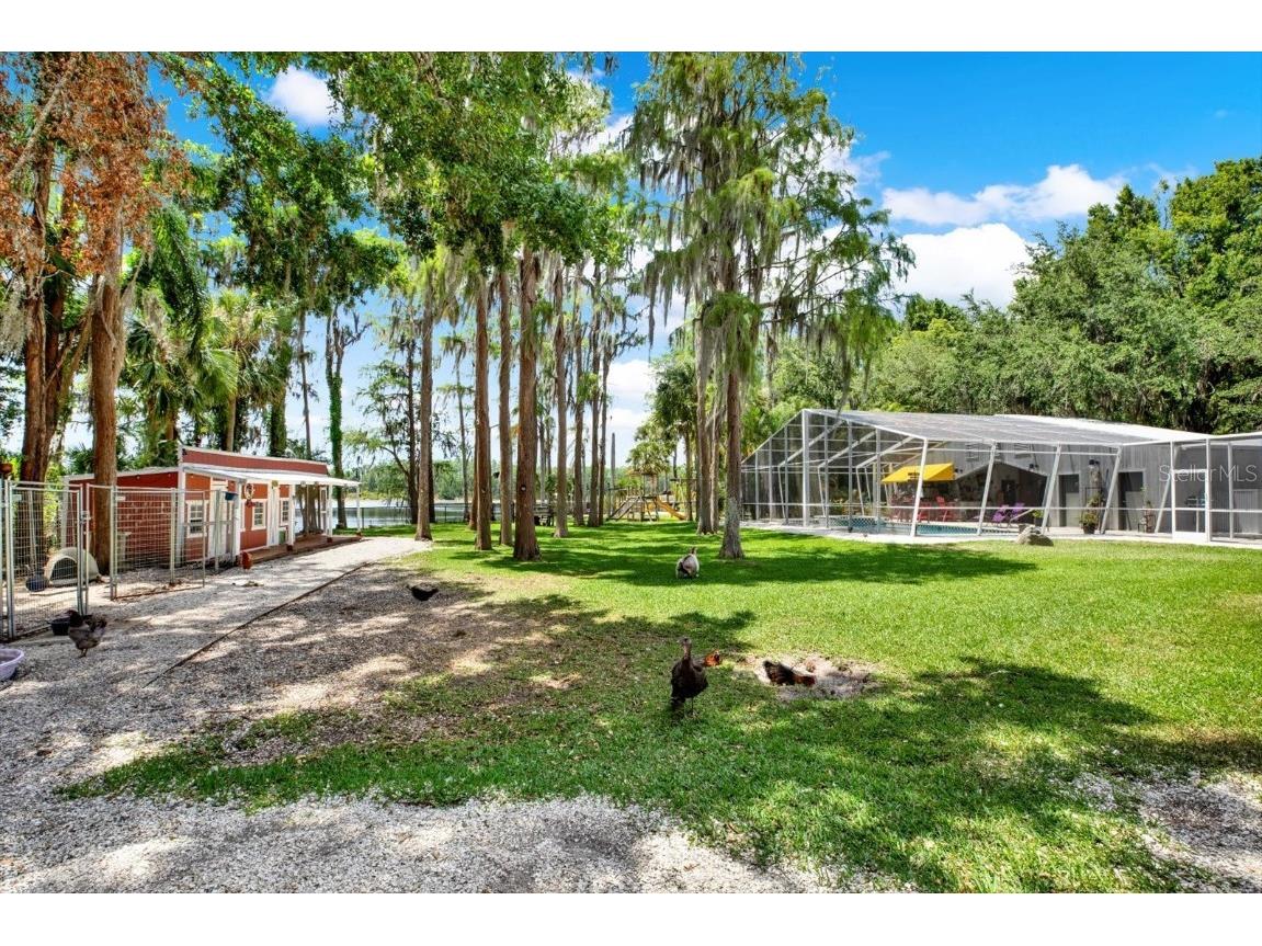 4541 School Road Land O Lakes FL 34638 W7875237 image53