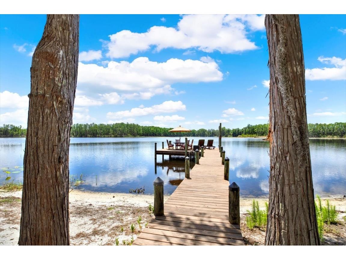 4541 School Road Land O Lakes FL 34638 W7875237 image57