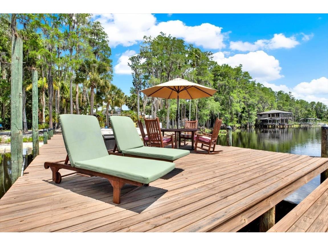 4541 School Road Land O Lakes FL 34638 W7875237 image58