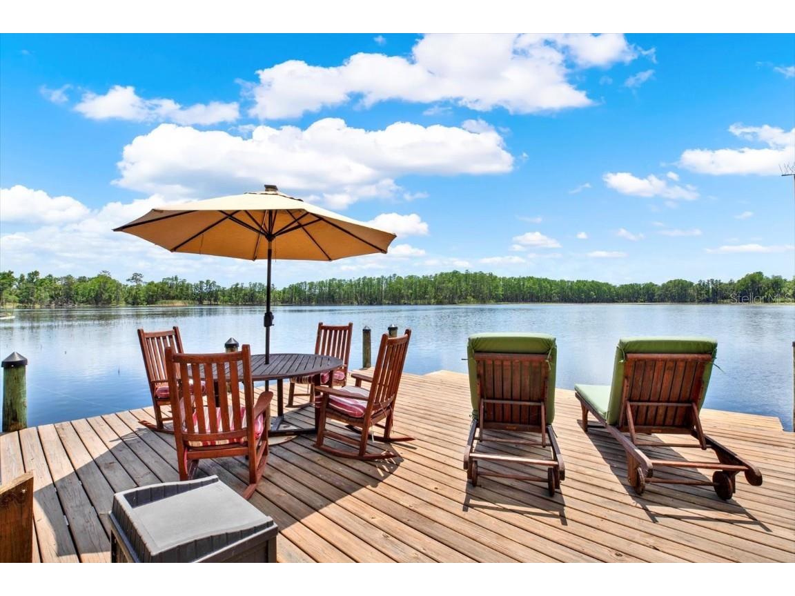 4541 School Road Land O Lakes FL 34638 W7875237 image6