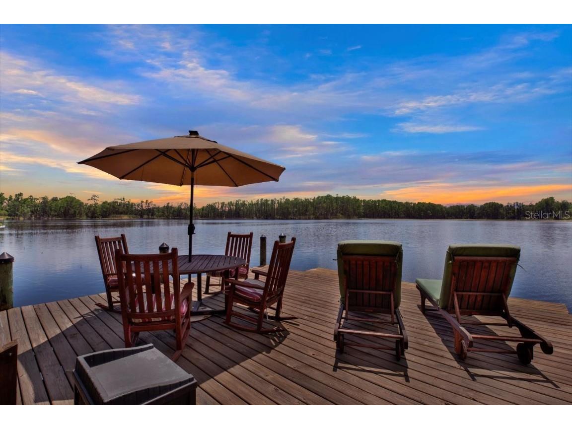 4541 School Road Land O Lakes FL 34638 W7875237 image64