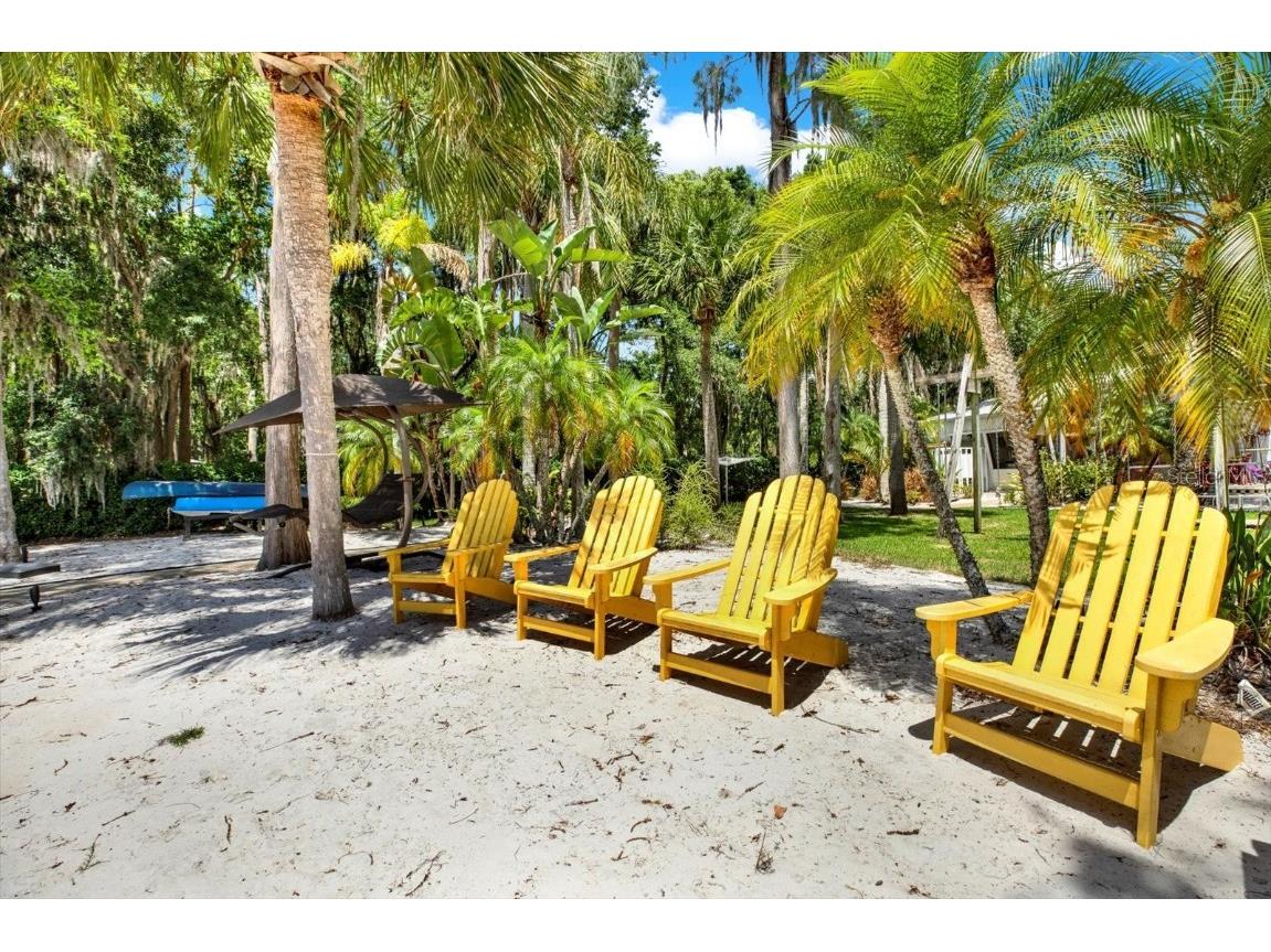 4541 School Road Land O Lakes FL 34638 W7875237 image7