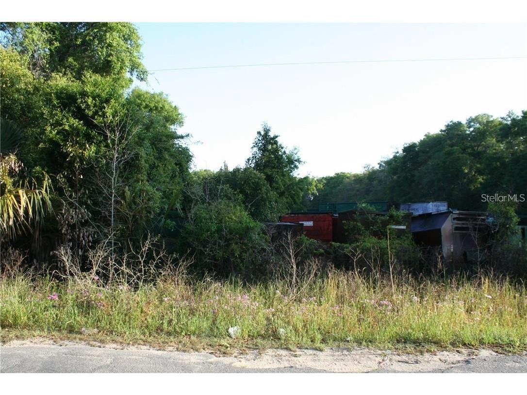 4541 SE 95th Street Ocala FL 34480 OM660695 image1