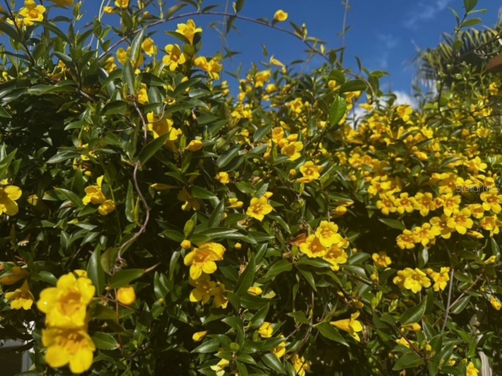 4542 35th Avenue Circle E Palmetto FL 34221 A4673731 image33