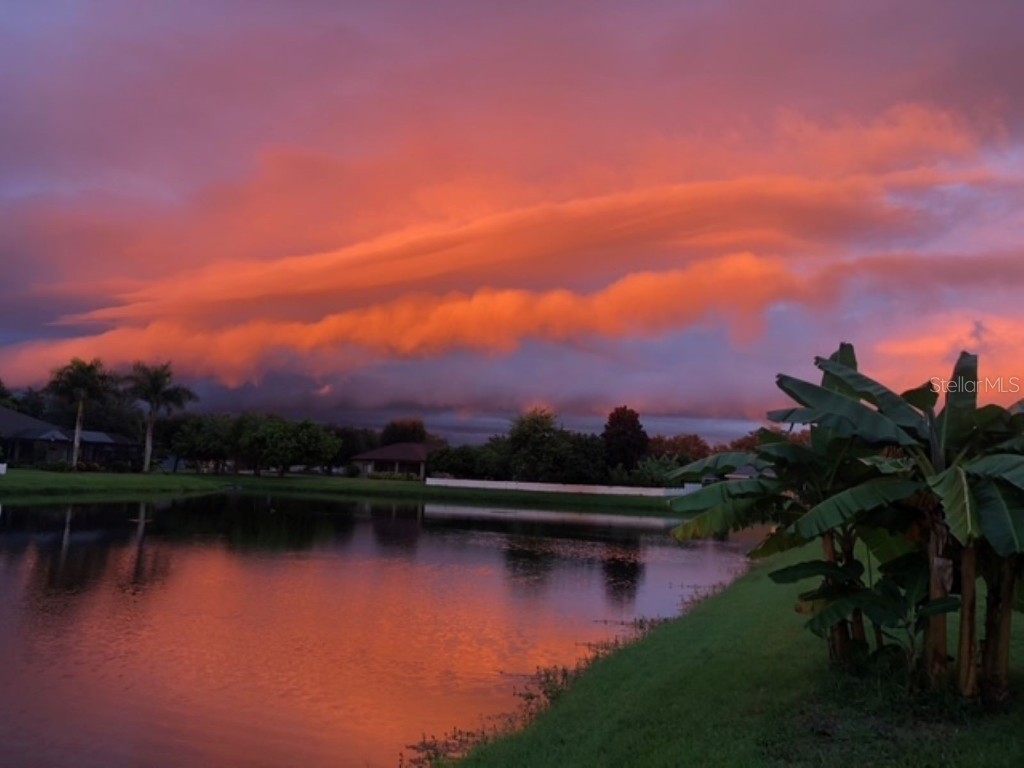 4542 35th Avenue Circle E Palmetto FL 34221 A4673731 image35