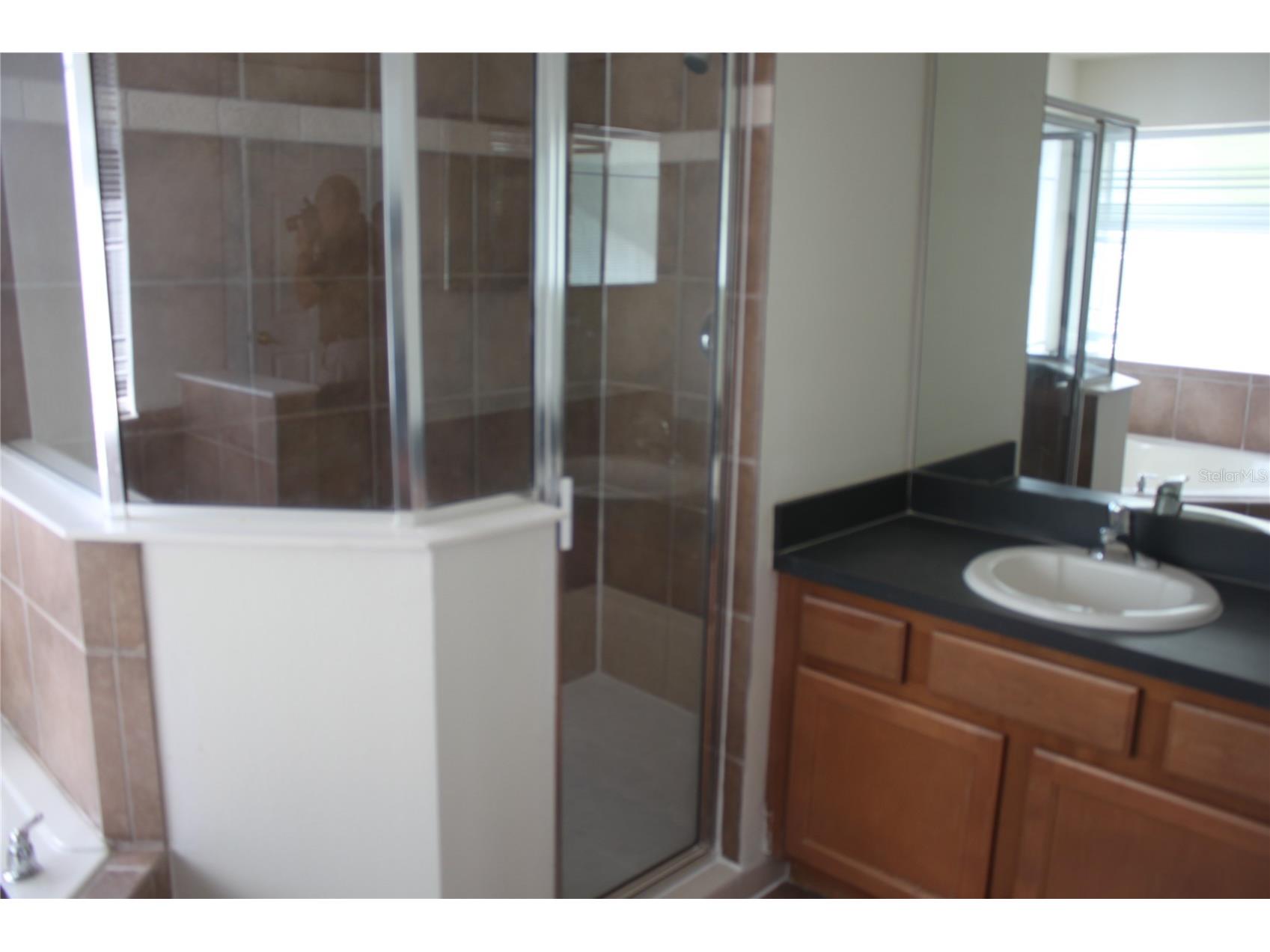 4542 Blue Major Drive Windermere FL 34786 O6392465 image12