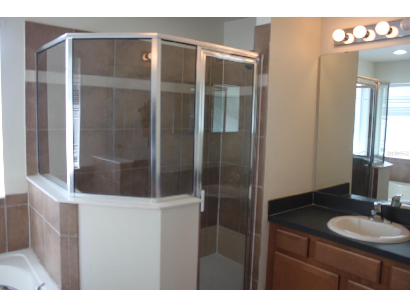 4542 Blue Major Drive Windermere FL 34786 O6392465 image13