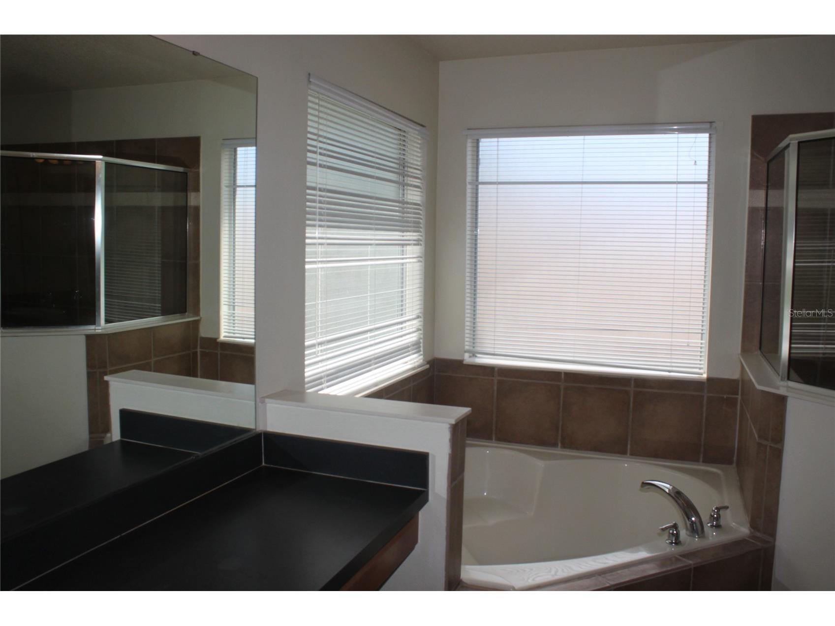 4542 Blue Major Drive Windermere FL 34786 O6392465 image14