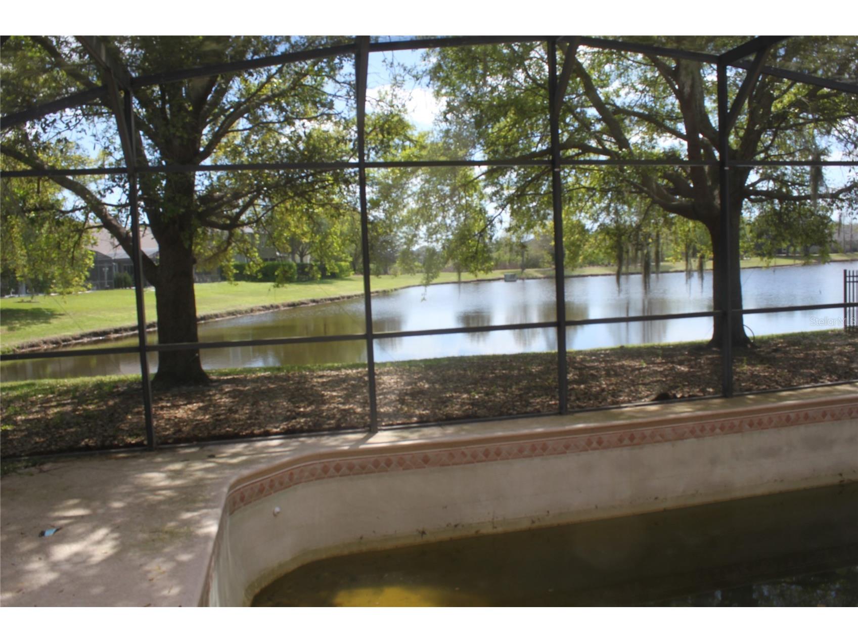 4542 Blue Major Drive Windermere FL 34786 O6392465 image15