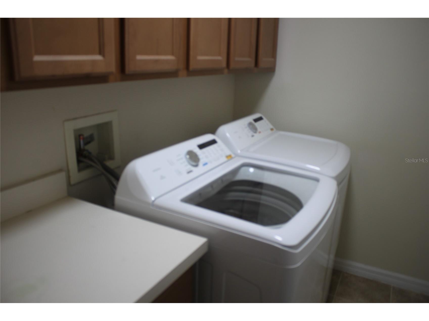 4542 Blue Major Drive Windermere FL 34786 O6392465 image18