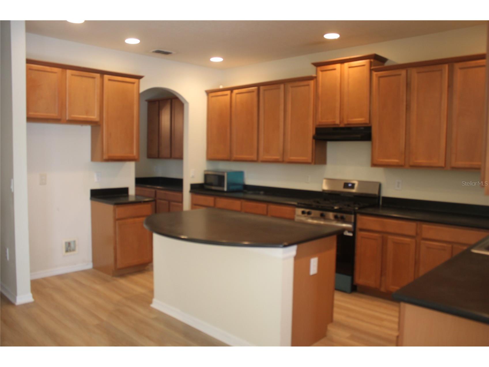 4542 Blue Major Drive Windermere FL 34786 O6392465 image4