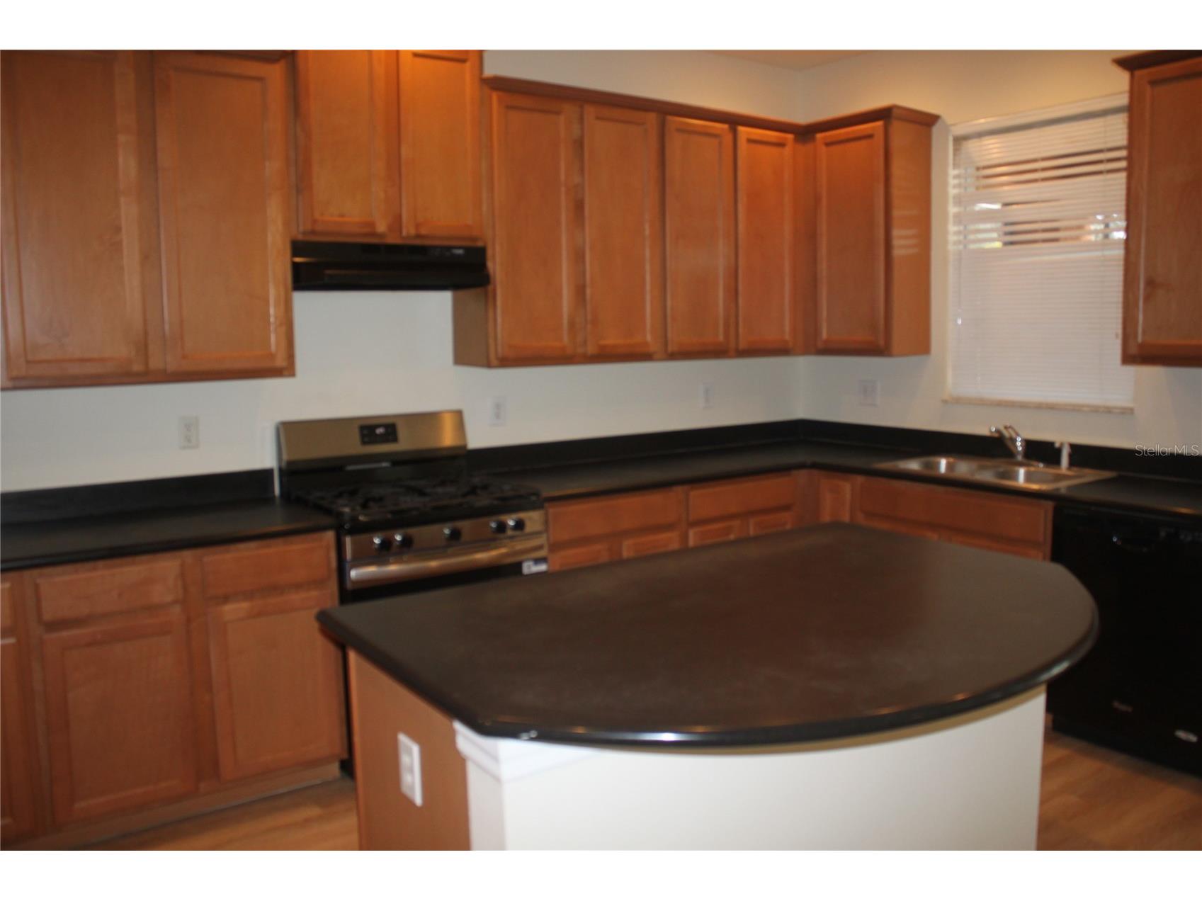 4542 Blue Major Drive Windermere FL 34786 O6392465 image5
