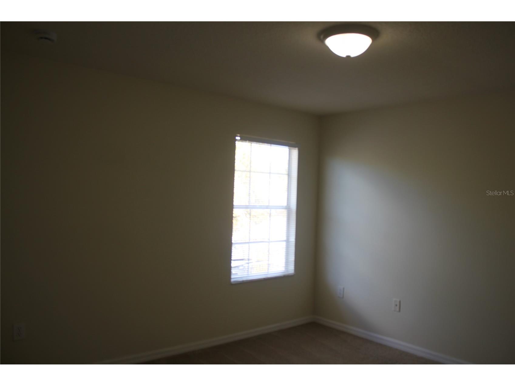 4542 Blue Major Drive Windermere FL 34786 O6392465 image8