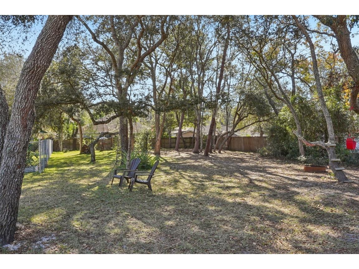 4542 Lemon Street Lady Lake FL 32159 G5105649 image42