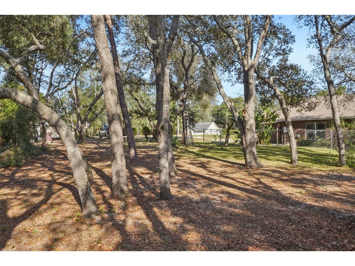 4542 Lemon Street Lady Lake FL 32159 G5105649 image44