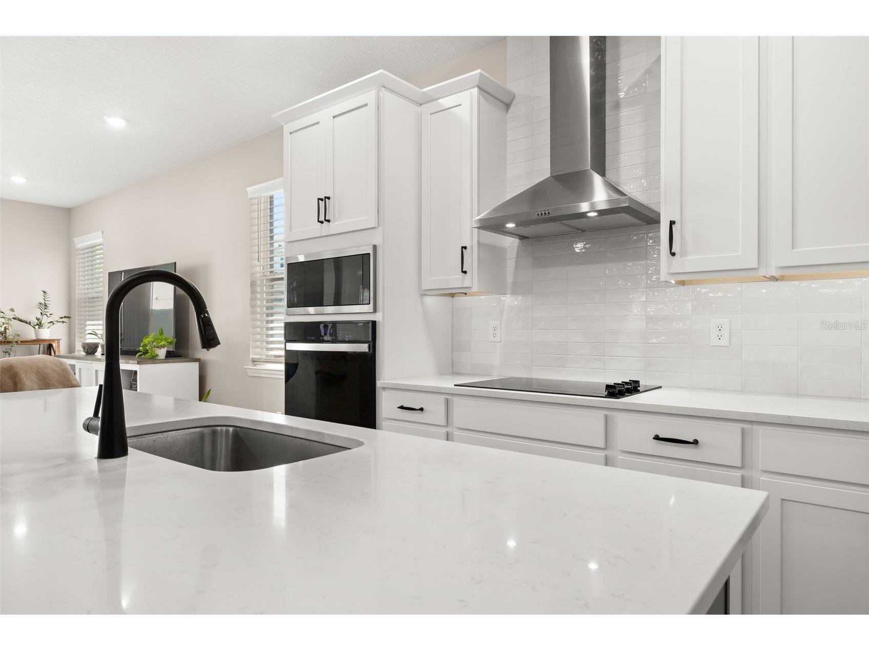 4542 Lions Gate Avenue Clermont FL 34711 S5146373 image6