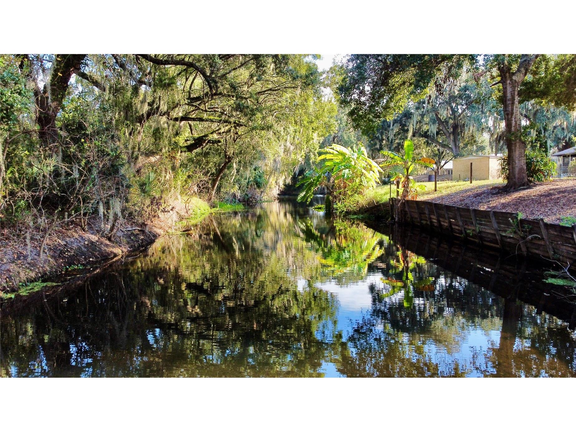 4542 Timberlane Road Lake Wales FL 33898 - LAKE PIERCE K4903159 image31