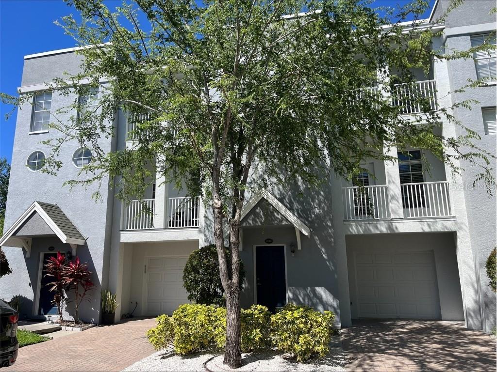 4543 Bay Spring Ct Tampa FL 33611 T3435462 image1