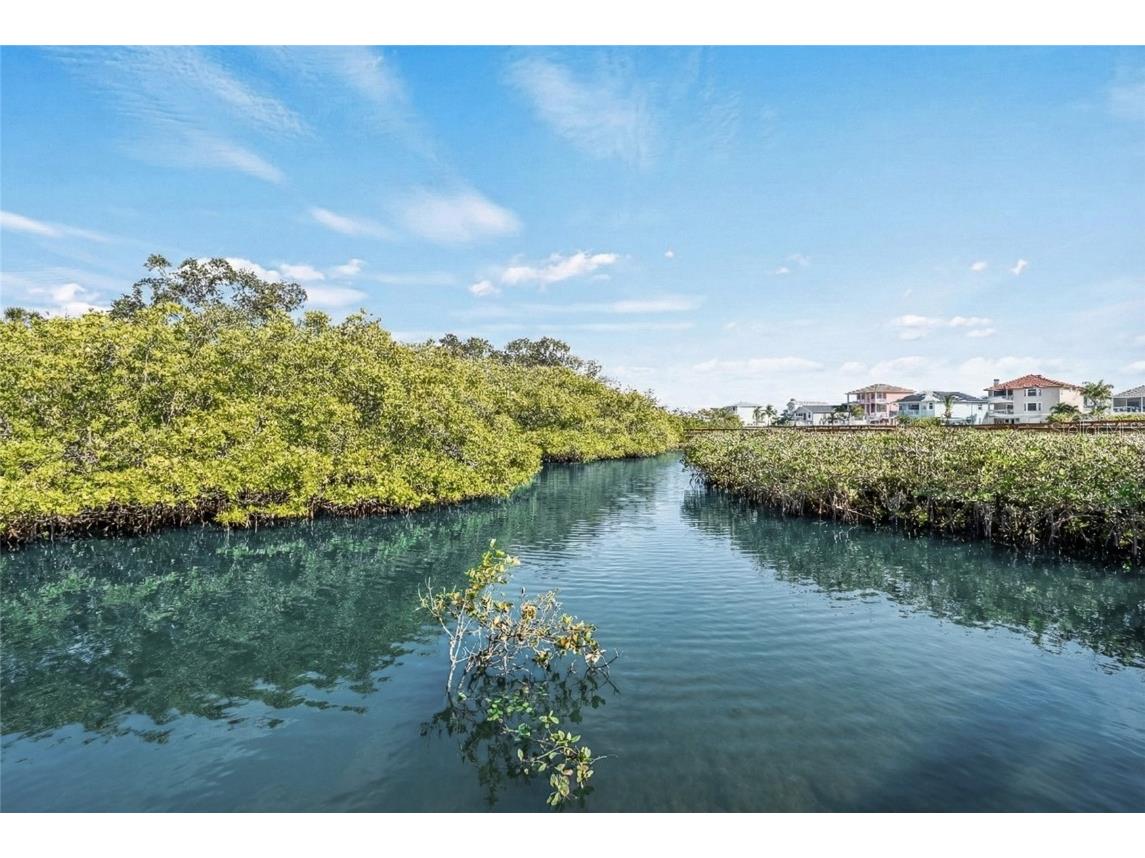 4543 Dewey Drive New Port Richey FL 34652 TB8450354 image35