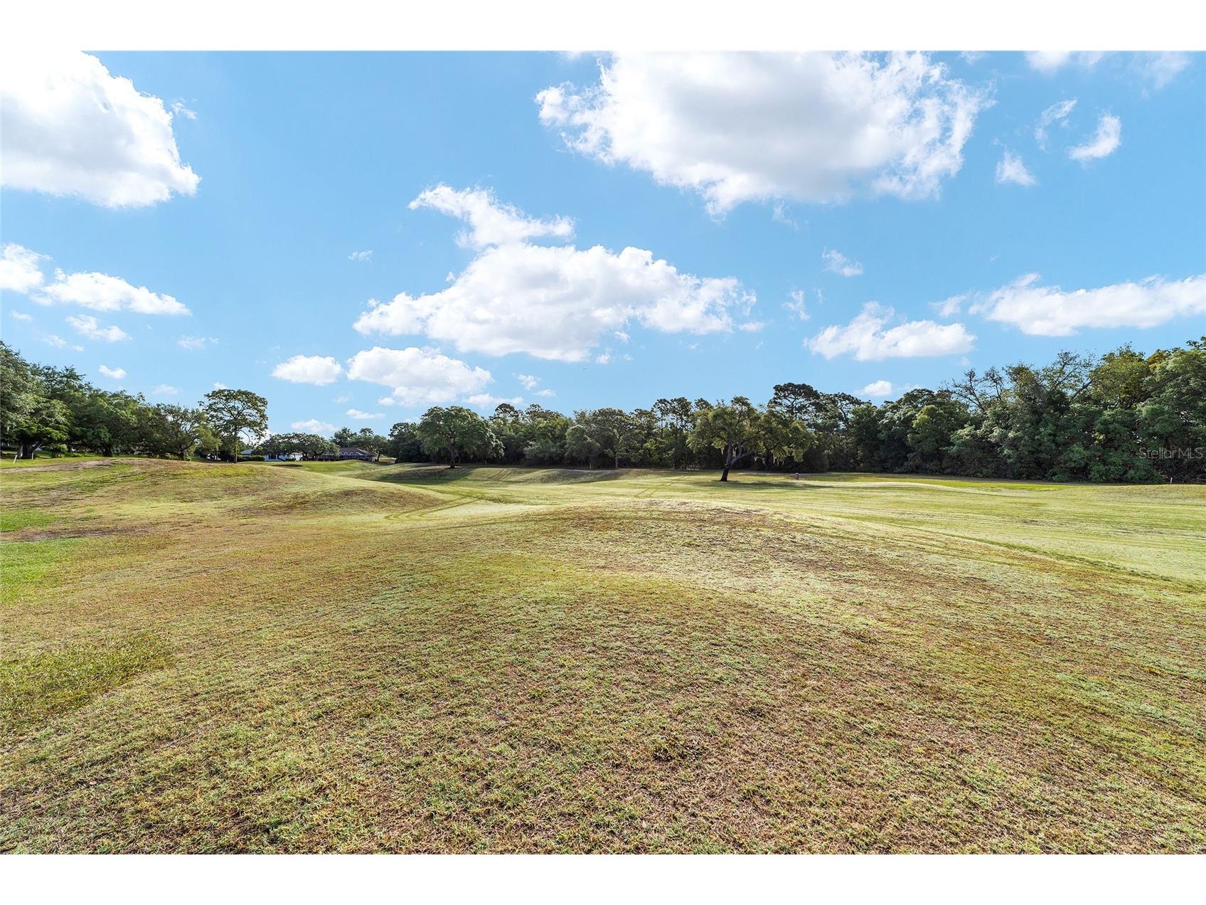 4543 N Jademoor Drive Beverly Hills FL 34465 OM723753 image45