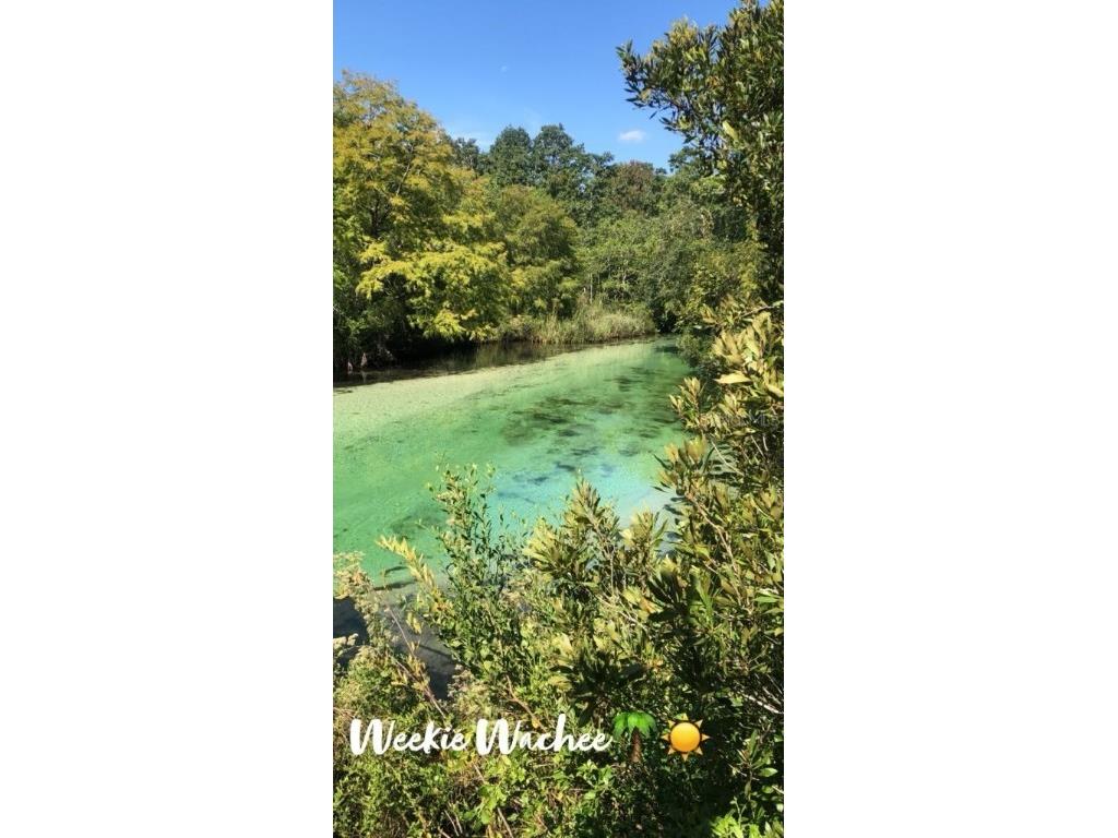 4544 Cynthia Lane Spring Hill FL 34606 W7873012 image36