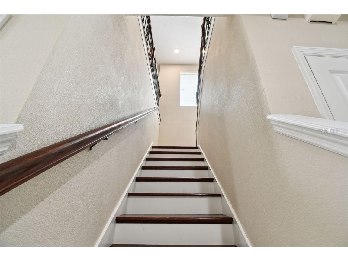 4544 Vermillion Sky Drive Wesley Chapel FL 33544 TB8400012 image43