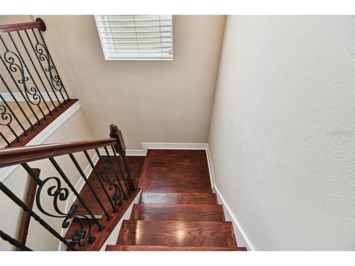 4544 Vermillion Sky Drive Wesley Chapel FL 33544 TB8400012 image44