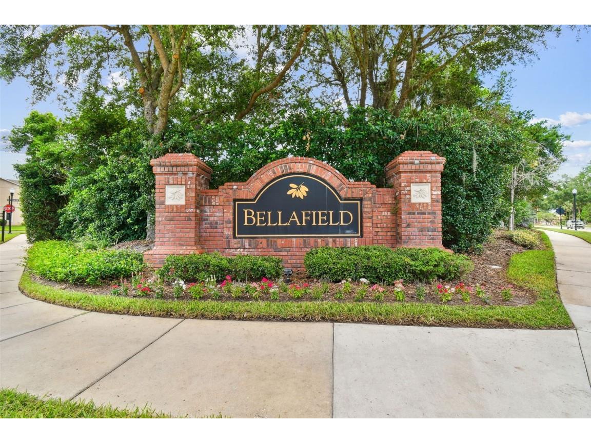 4544 Vermillion Sky Drive Wesley Chapel FL 33544 TB8400012 image5