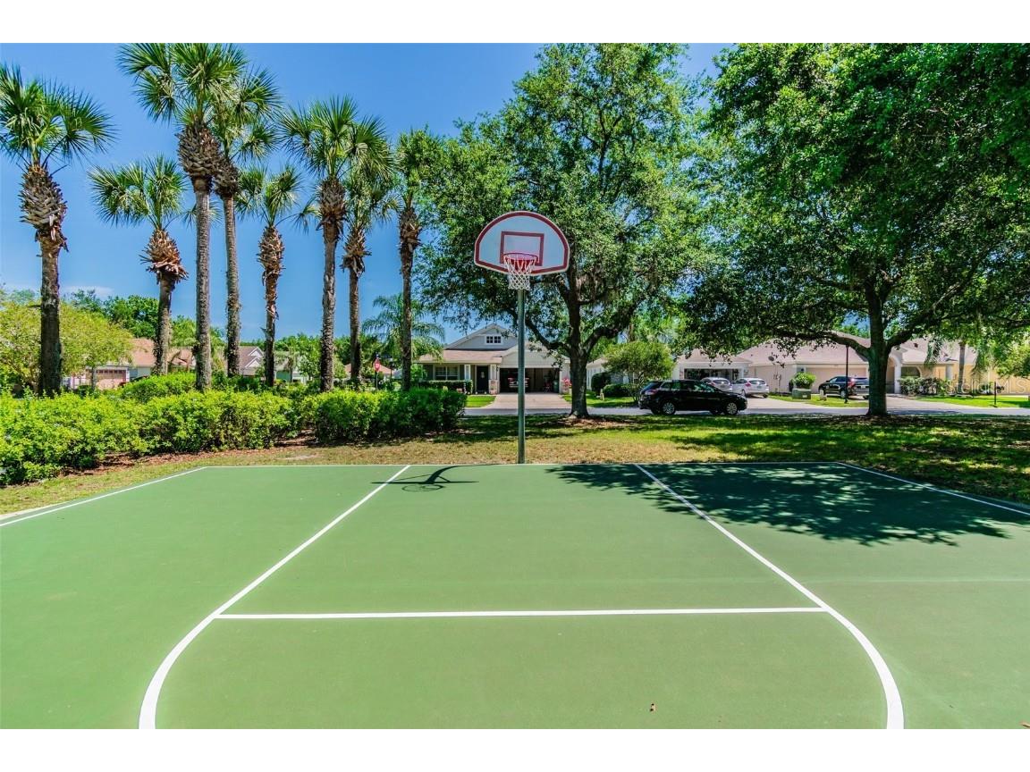 4544 Vermillion Sky Drive Wesley Chapel FL 33544 TB8400012 image95