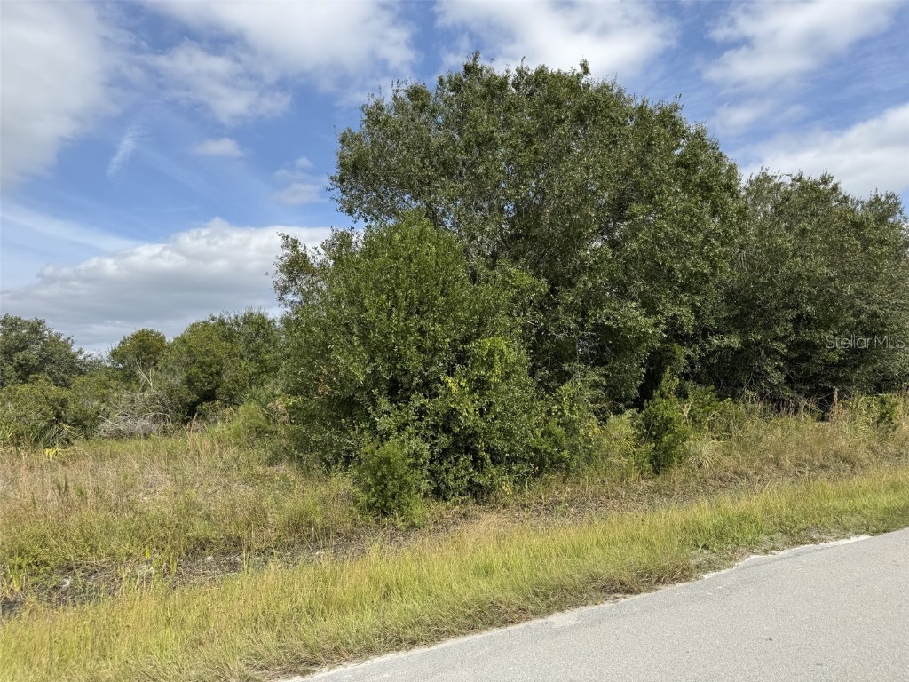 4545 56th Avenue NE Naples FL 34120 A4672315 image1