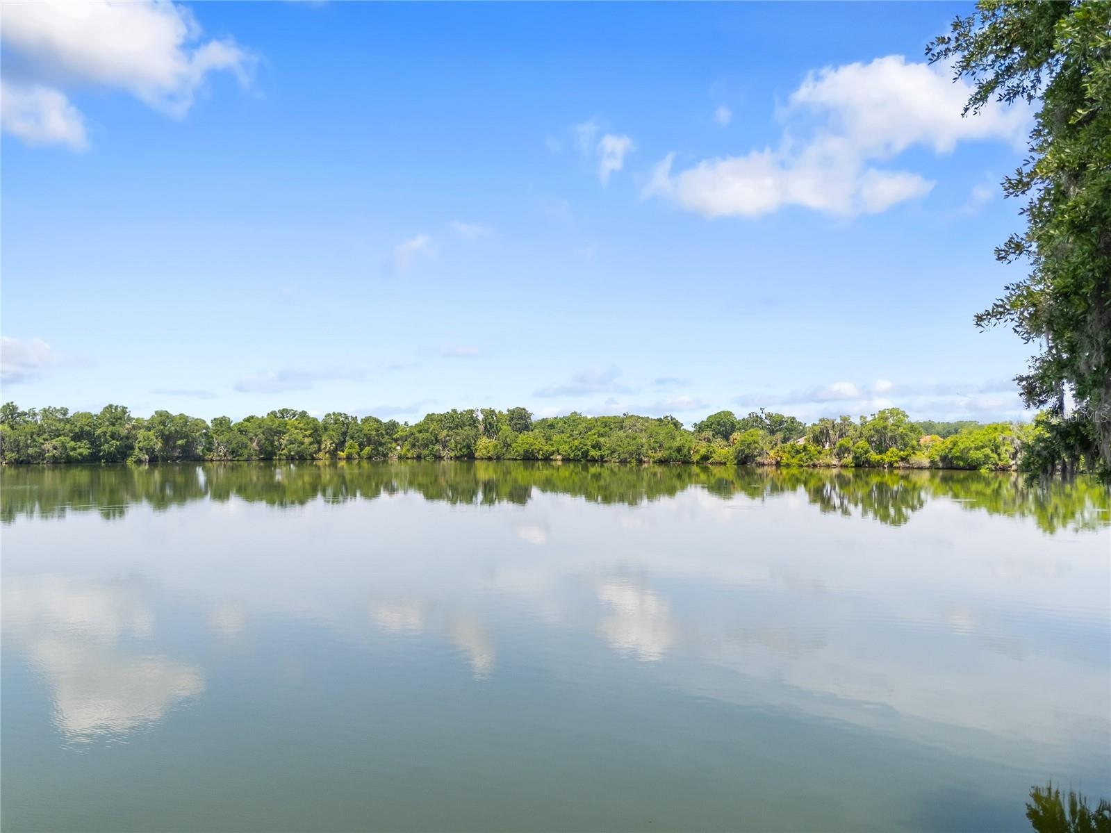 4545 Fairway Oaks Drive Mulberry FL 33860 L4960817 image41