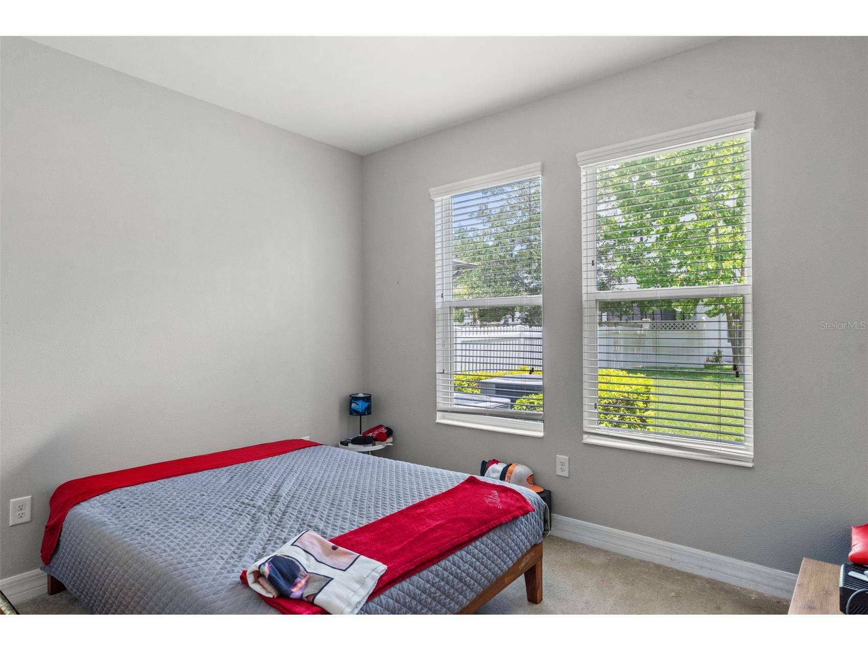 4545 Scarlet Loop Wesley Chapel FL 33544 TB8512458 image24