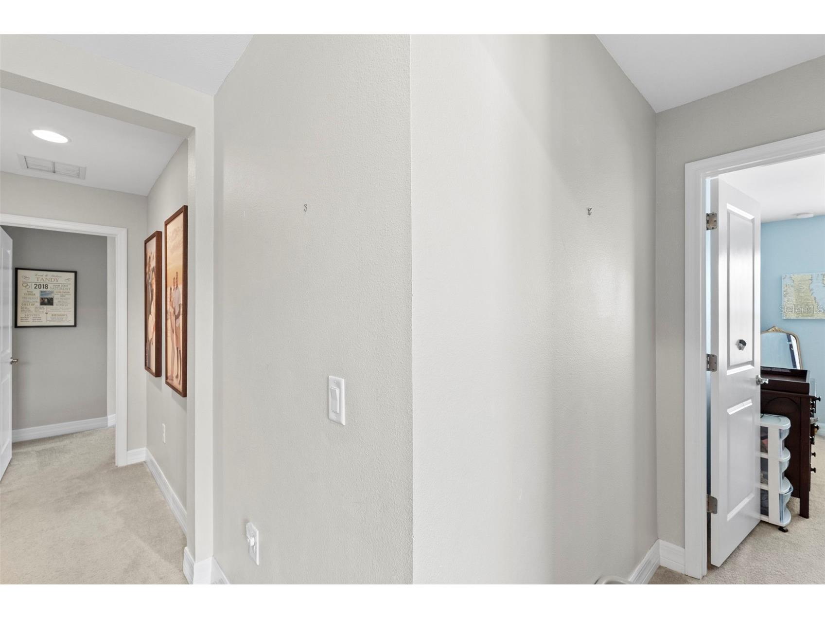 4545 Scarlet Loop Wesley Chapel FL 33544 TB8512458 image31