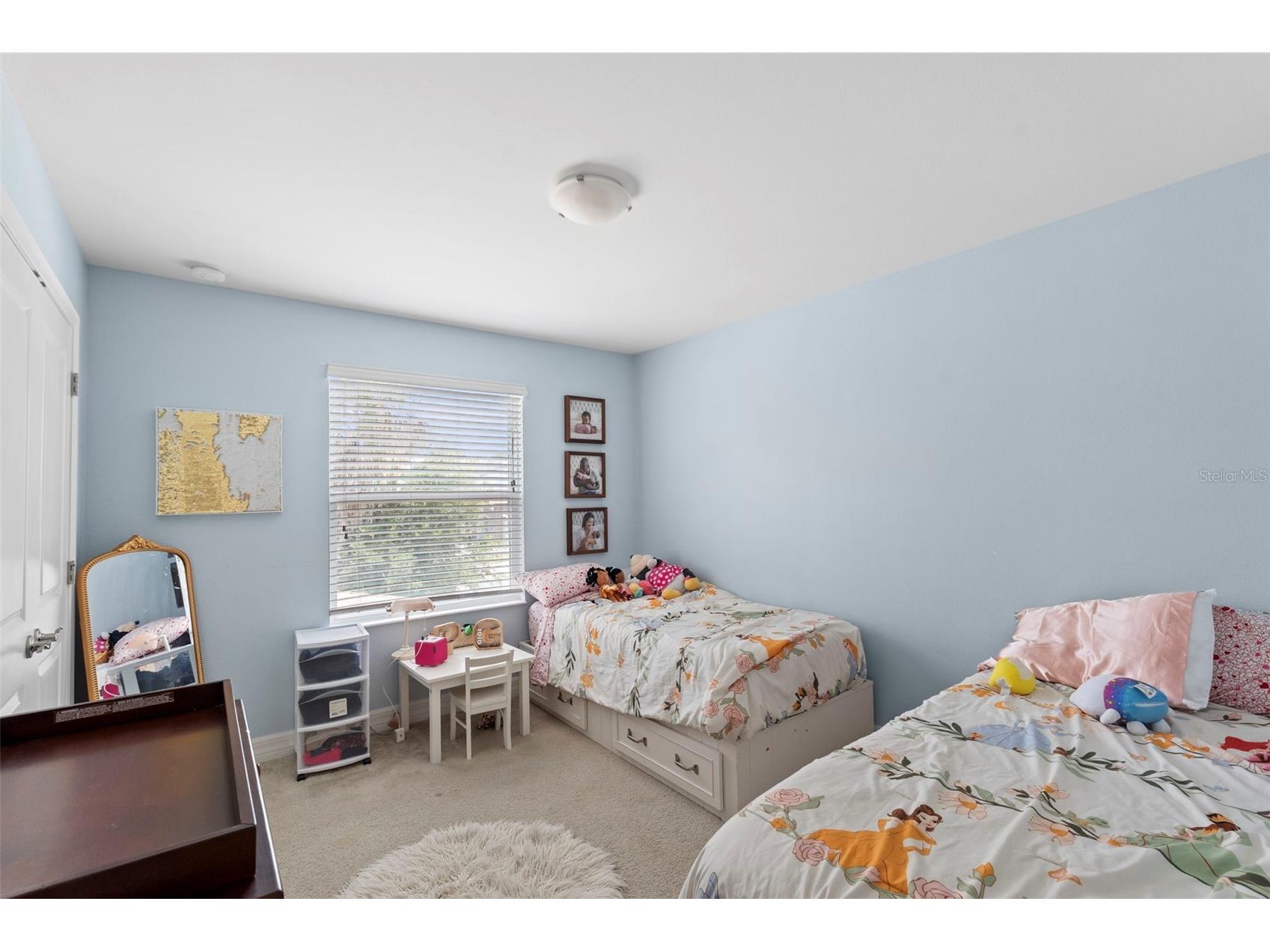 4545 Scarlet Loop Wesley Chapel FL 33544 TB8512458 image32