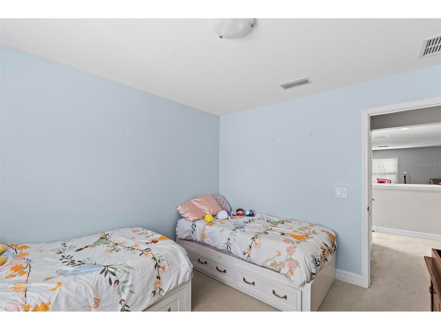 4545 Scarlet Loop Wesley Chapel FL 33544 TB8512458 image33