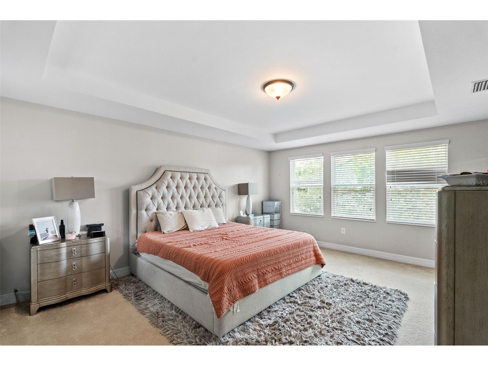 4545 Scarlet Loop Wesley Chapel FL 33544 TB8512458 image34
