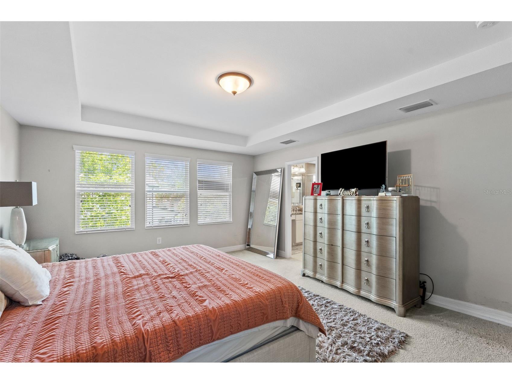4545 Scarlet Loop Wesley Chapel FL 33544 TB8512458 image35