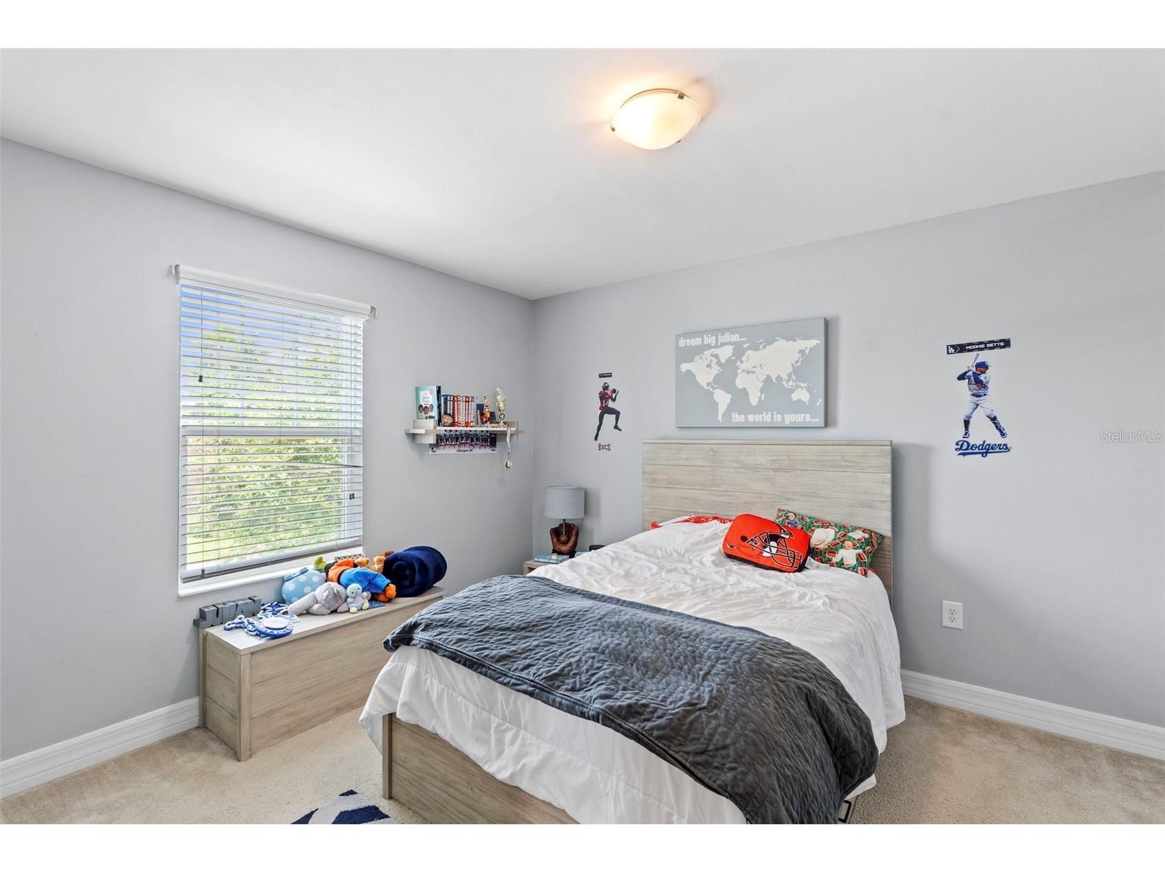 4545 Scarlet Loop Wesley Chapel FL 33544 TB8512458 image43