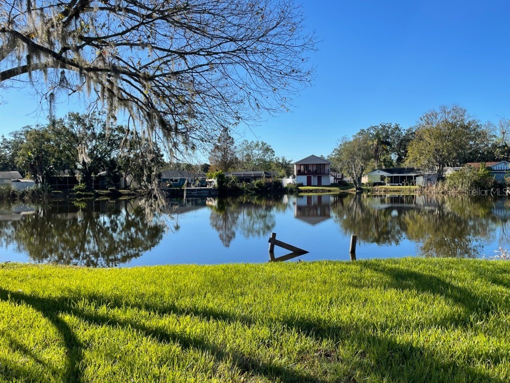 4546 Edith Street New Port Richey FL 34652 TB8325312 image1