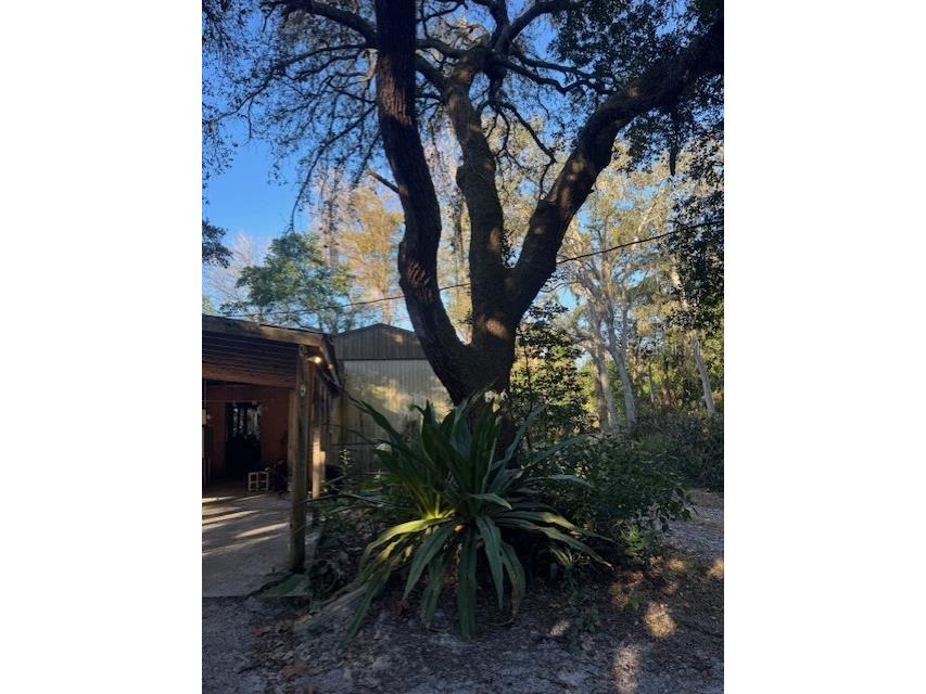4547 Cr 692 Webster FL 33597 G5106761 image18