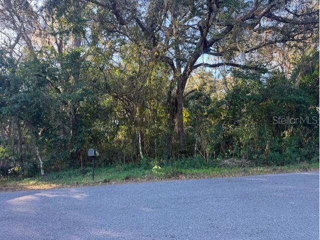 4547 Cr 692 Webster FL 33597 G5106761 image19