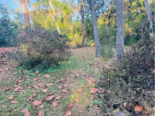 4547 Cr 692 Webster FL 33597 G5106761 image3