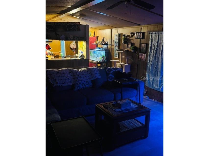 4547 Cr 692 Webster FL 33597 G5106761 image32