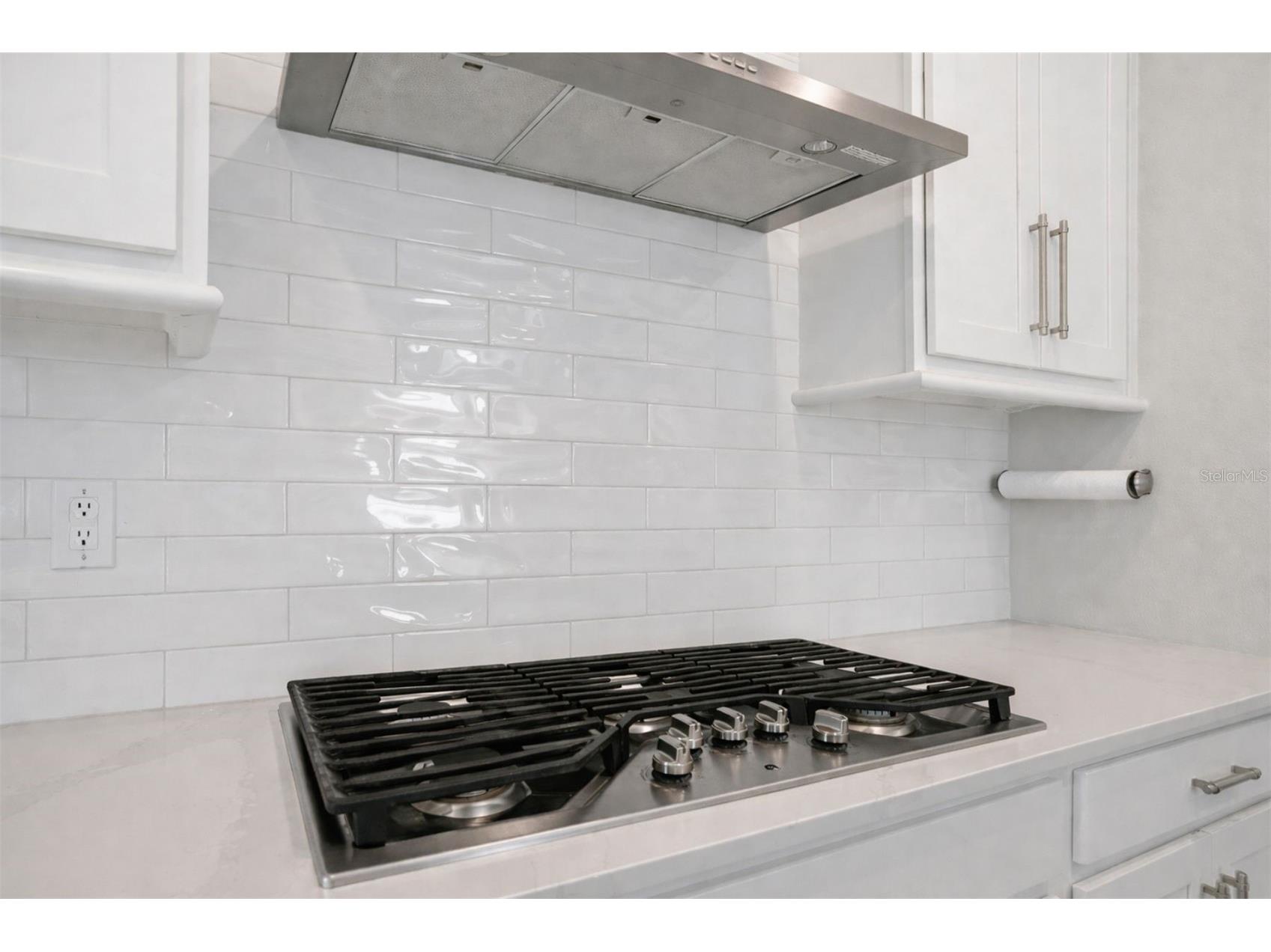 4547 San Martino Drive Wesley Chapel FL 33543 TB8484501 image12