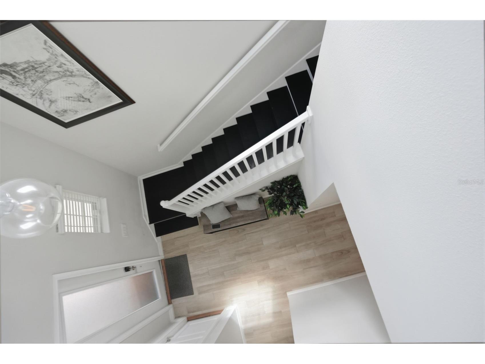 4547 San Martino Drive Wesley Chapel FL 33543 TB8484501 image22