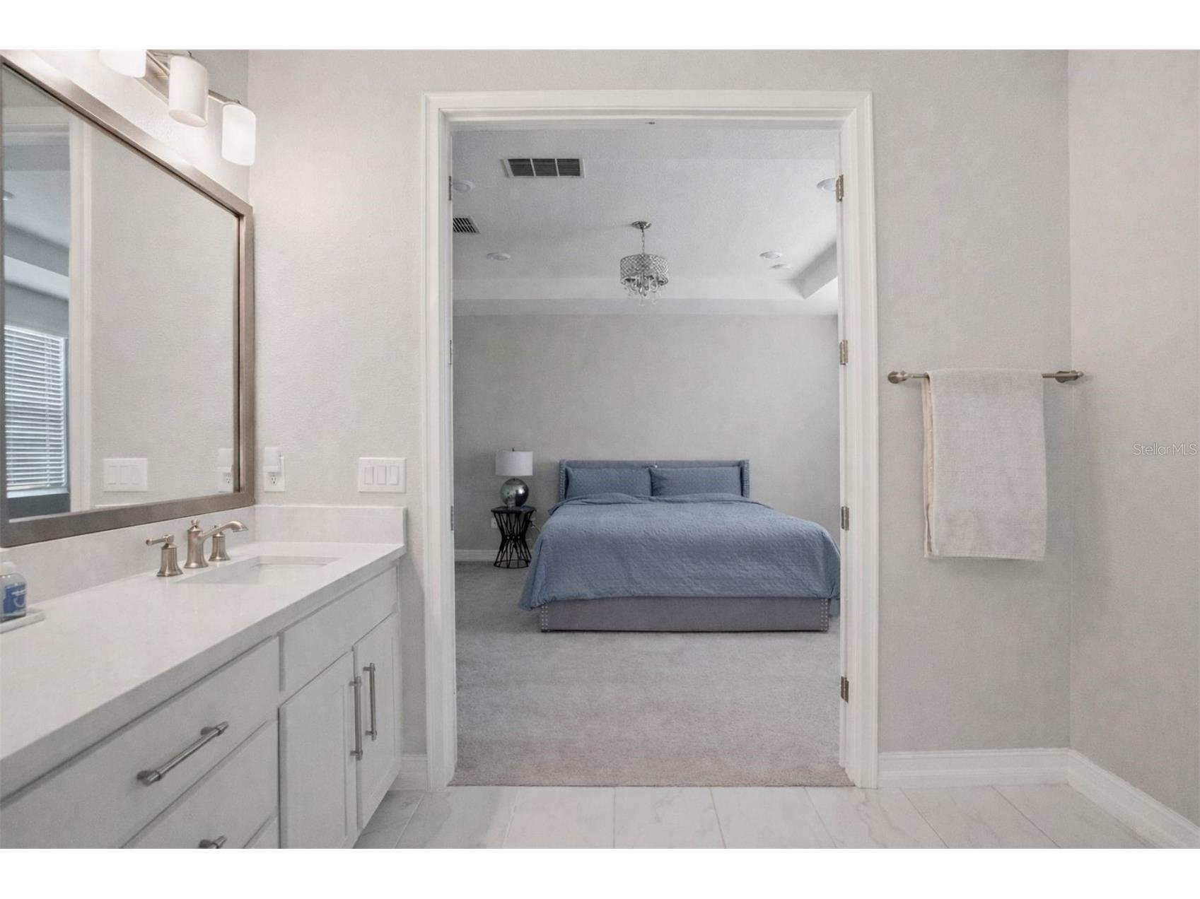 4547 San Martino Drive Wesley Chapel FL 33543 TB8484501 image25