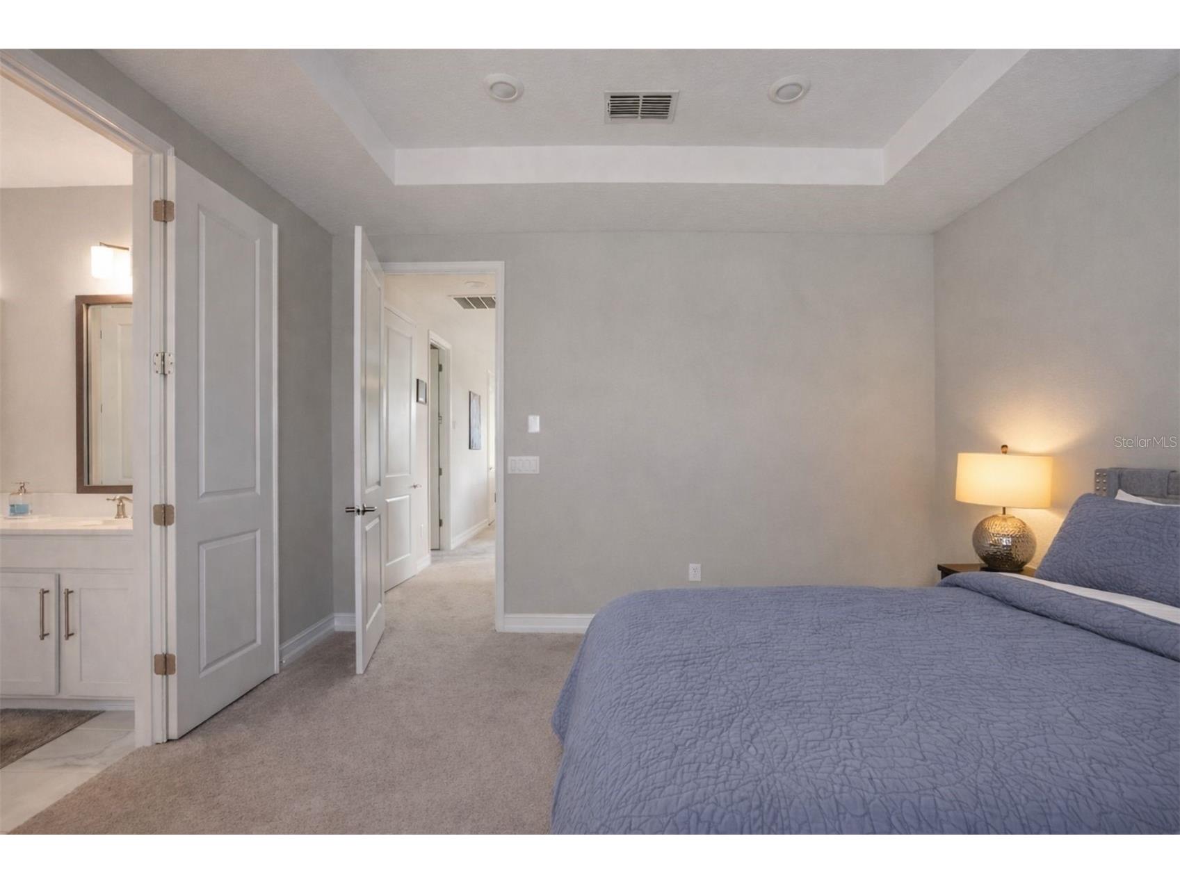 4547 San Martino Drive Wesley Chapel FL 33543 TB8484501 image26