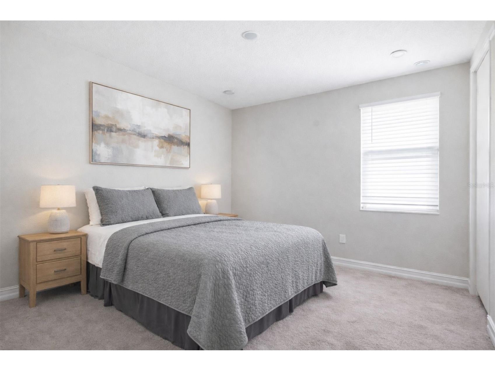 4547 San Martino Drive Wesley Chapel FL 33543 TB8484501 image30