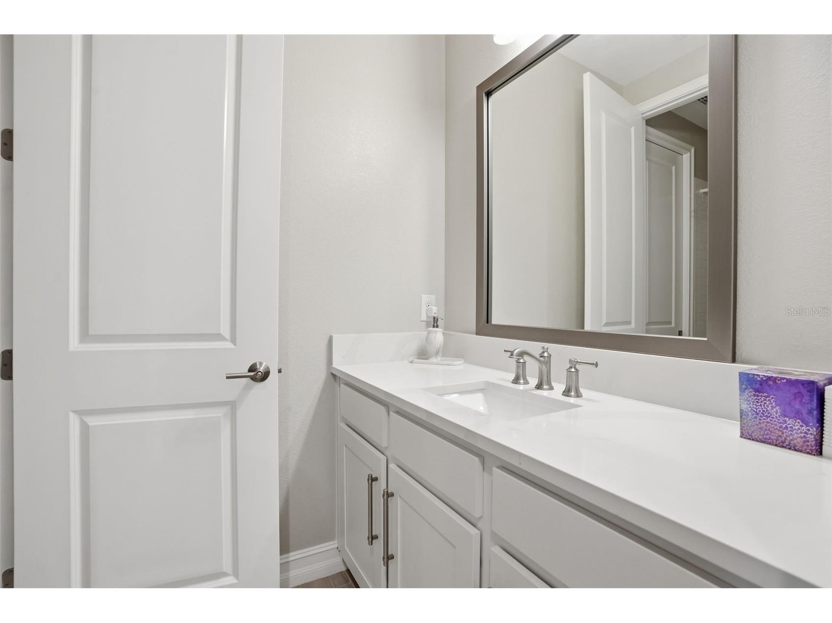 4547 San Martino Drive Wesley Chapel FL 33543 TB8484501 image37